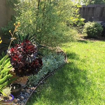 Cowles mountain view back yard retreat
