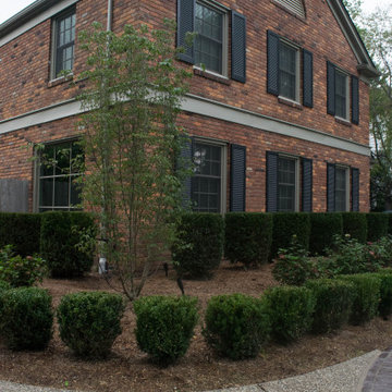 Front Yard Boxwood and Hardscape