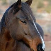 Jen Hilger's photo