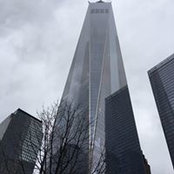 Tony Squizzero's photo