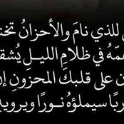 Eng Mohamed Elnokaly's photo