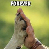 Vicky Wengel's photo