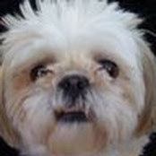 Melissa Fletcher's photo