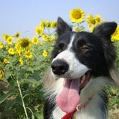 Hsin-Yen Wu's photo