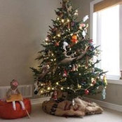 Katy Mckay's photo