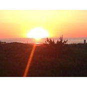 Noelle Hildreth's photo