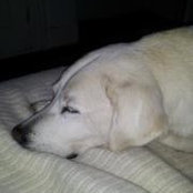 Loretta Moroz-doody's photo
