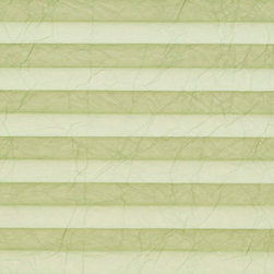 Crush Fern Pleated blind - Cellular Shades