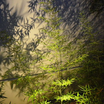 Un jardin original à Toulon