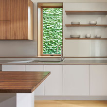 Greenery Through Windows