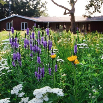 Prairie Projects