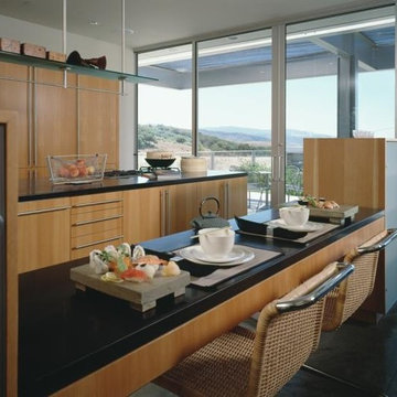 Carmel Valley Modern