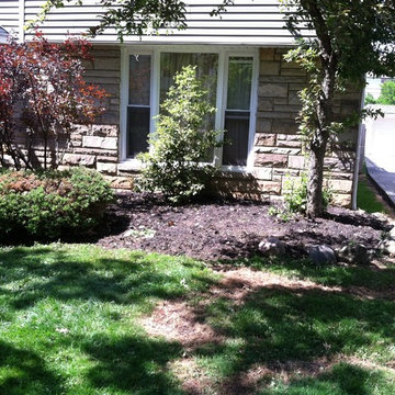 Zaccraya Cisse Spring Cleanup