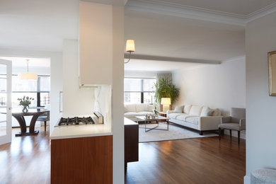 Living room - mid-sized transitional formal and open concept medium tone wood floor and brown floor living room idea in New York with gray walls, no fireplace and no tv