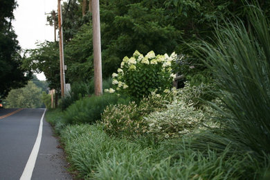 Photo of a traditional landscaping in Philadelphia.