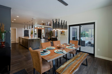 Kitchen/dining room combo - contemporary dark wood floor and brown floor kitchen/dining room combo idea in Other