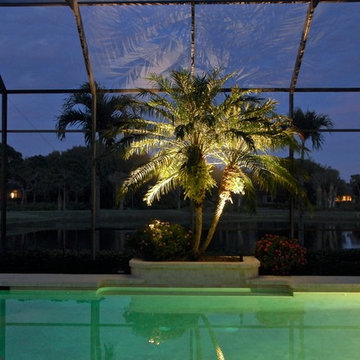 Landscape Lighting