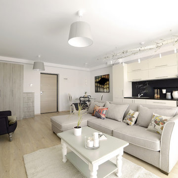 The Park 1, 2015 – 2 rooms showroom in residential building