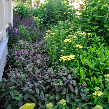 Urban Prairie- German Village