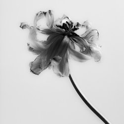 Smoky abstraction - Prints And Posters