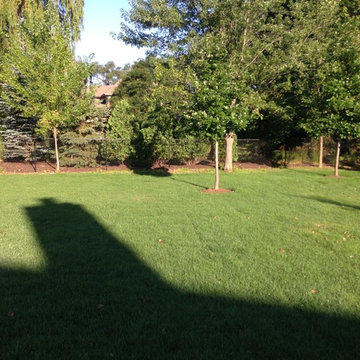 New Construction Landscaping in Northbrook