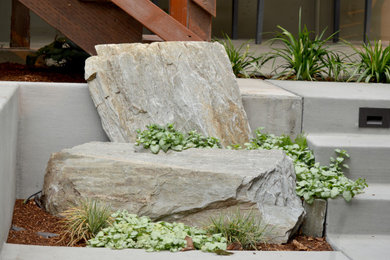 Photo of a modern rock backyard landscaping in San Francisco.