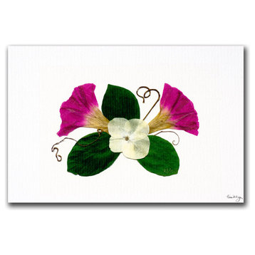 'Hara Morning Glory' Canvas Art by Kathie McCurdy
