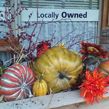 Lucky's Container Garden
