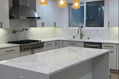 Inspiration for a modern kitchen remodel in San Francisco