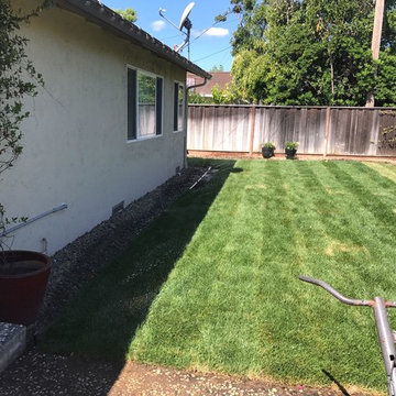Drought Tolerant Landscape "Zero Scape"