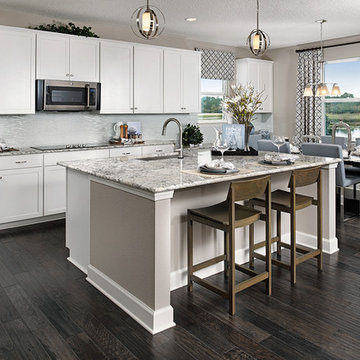 Dalton model home in Florida