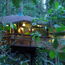 Tree house