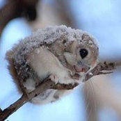 Nadia NK's photo