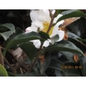 Gloria Carpenter's photo