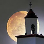Rose Castillo's photo