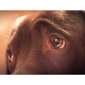 Donna Tonelli's photo