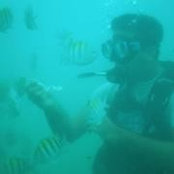 Raj Hariharan's photo