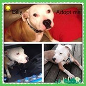 Tammy Herne's photo