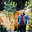 Level Landscape Design
