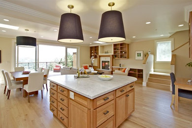 Transitional kitchen photo in San Francisco
