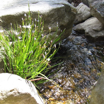 Avery's Creek- F