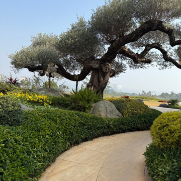 Landscape design
