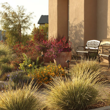 Arresting Dunes - Coastal Gem Garden