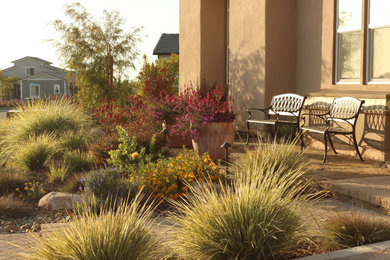 Design ideas for a landscaping in San Luis Obispo.