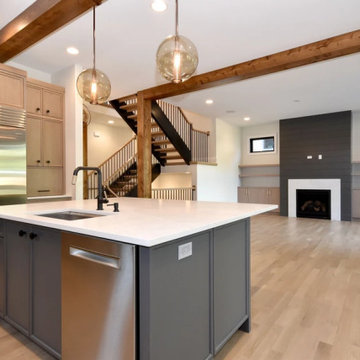 Beautiful New Construction in Elmhurst on S. Mitchell