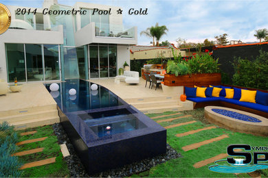 Example of a mid-sized trendy infinity pool design in Los Angeles