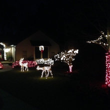 Christmas Decoration