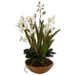 Uttermost - Uttermost Moth Orchid Planter - Hand Painted, Natural Brown Dish Garden Of White Moth Orchids Planted In Permanent Soil With Mixed Foliages From The Orchid Family.  Additional Product Information: Collection: Moth Orchid Size (inches): 18.5Lx18.5Wx33.5H Item Weight (lbs): 13 Frame Finish: Handpainted, Natural Brown Dish Garden Of White Moth Orchids Planted In Permanent Soil With Mixed Foliages From The Orchid Family. Material:  Polyester & Plastic Country: China