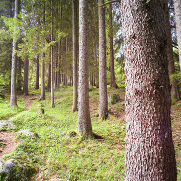 esterno casa di montagna