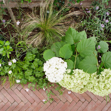 Fulham Park Gardens - No Grass!